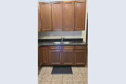 3733 S Lake Park Avenue #1, Chicago, IL 60653 - Photo 5