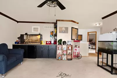 7801 Mossheather Drive, Joliet, IL 60431 - Photo 13