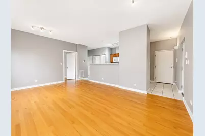 803 E 41st Street #1B, Chicago, IL 60653 - Photo 5