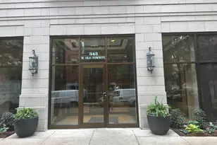 343 W Old Town Ct, Chicago, IL 60610 - Photo 3