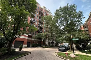 343 W Old Town Ct, Chicago, IL 60610 - Photo 25