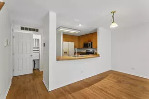 4930 S Cornell Ave, Chicago, IL 60615 - Photo 11