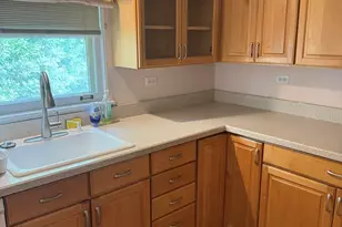 435 S Stratford Ave, Elmhurst, IL 60126 - Photo 15