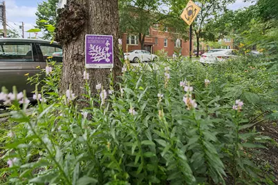 3845 W Altgeld Street #G, Chicago, IL 60647 - Photo 23