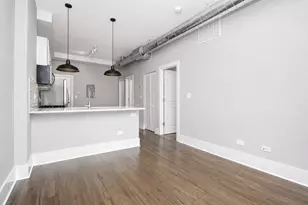 2007 S Allport St, Chicago, IL 60608 - Photo 3