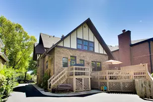 1108 S Washington Ave, Park Ridge, IL 60068 - Photo 43