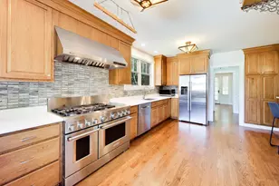 1108 S Washington Ave, Park Ridge, IL 60068 - Photo 13