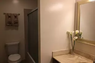 251 Coventry Cir, Vernon Hills, IL 60061 - Photo 17