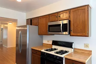 251 Coventry Cir, Vernon Hills, IL 60061 - Photo 13