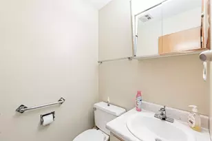 1161 E 171st Ct, South Holland, IL 60473 - Photo 29