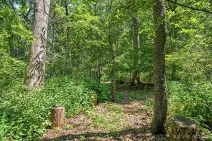 4N621 Deerslayer Dr, Elburn, IL 60119 - Photo 39