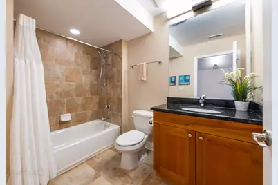 2272 S Archer Avenue #8E, Chicago, IL 60616 - Photo 21