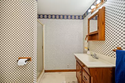 310 Wintree Lane, New Lenox, IL 60451 - Photo 25