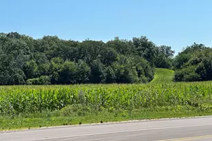 38 Acres Church Rd, Marengo, IL 60152 - Photo 1