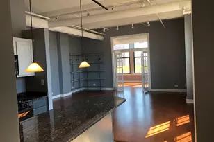 633 S Plymouth Ct, Chicago, IL 60605 - Photo 13