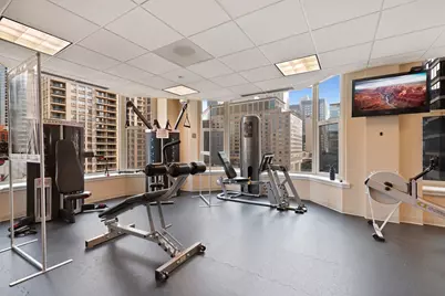 25 E Superior Street #1006, Chicago, IL 60611 - Photo 23
