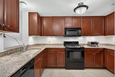 25 E Superior Street #1006, Chicago, IL 60611 - Photo 7