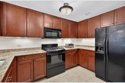 25 E Superior Street #1006, Chicago, IL 60611 - Photo 9