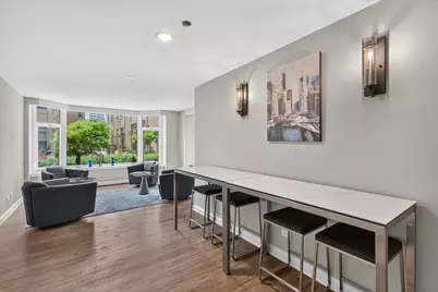 25 E Superior Street #1006, Chicago, IL 60611 - Photo 27