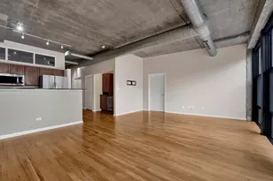 1000 W 15th St, Chicago, IL 60608 - Photo 11