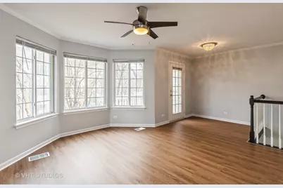 255 W Treehouse Lane, Round Lake, IL 60073 - Photo 5