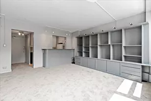 1150 N Lake Shore Dr, Chicago, IL 60611 - Photo 25
