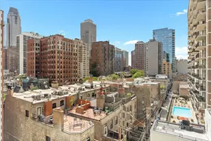 1150 N Lake Shore Dr, Chicago, IL 60611 - Photo 9