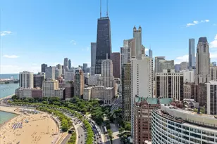 1150 N Lake Shore Dr, Chicago, IL 60611 - Photo 13