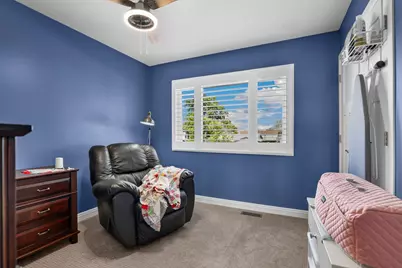 20012 S Sycamore Drive, Frankfort, IL 60423 - Photo 15
