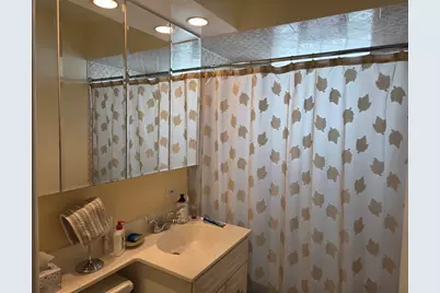 4747 S Leclaire Avenue, Chicago, IL 60638 - Photo 13