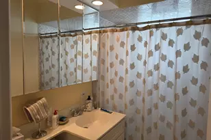 4747 S Leclaire Ave, Chicago, IL 60638 - Photo 13