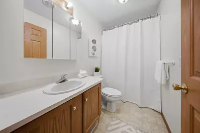 211 Bridge Street, Millington, IL 60537 - Photo 17