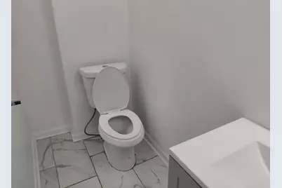432 E 45th Place, Chicago, IL 60653 - Photo 13