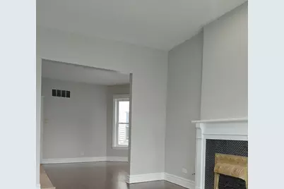 432 E 45th Place, Chicago, IL 60653 - Photo 29