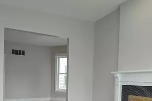 432 E 45th Pl, Chicago, IL 60653 - Photo 29