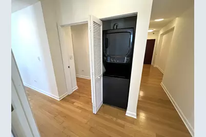 1250 S Michigan Avenue #1209, Chicago, IL 60605 - Photo 11