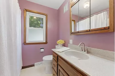1017 11th Avenue, Orion, IL 61273 - Photo 13
