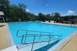 154 Lake Thunderbird Dr, Putnam, IL 61560 - Photo 37
