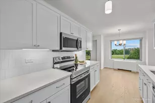 6933 N Kedzie Ave, Chicago, IL 60645 - Photo 9