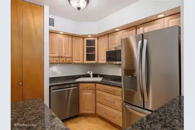 1455 N Sandburg Terrace #803, Chicago, IL 60610 - Photo 9