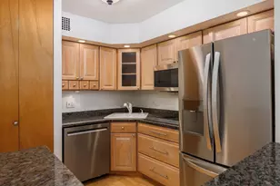 1455 N Sandburg Terrace, Chicago, IL 60610 - Photo 9
