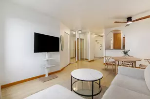 1455 N Sandburg Terrace, Chicago, IL 60610 - Photo 5