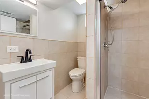 8517 W Carmen Ave, Chicago, IL 60656 - Photo 19