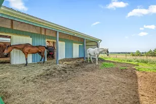 4206 W West Grove Rd, Leaf River, IL 61047 - Photo 11