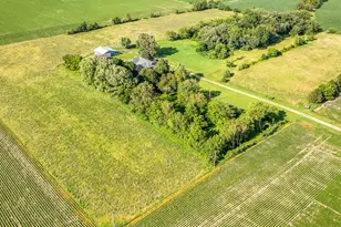 4206 W West Grove Rd, Leaf River, IL 61047 - Photo 9