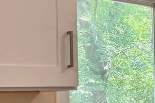 1445 N Driftwood Ave, Palatine, IL 60067 - Photo 11