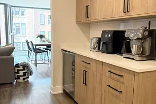 227 E Walton Pl, Chicago, IL 60611 - Photo 3