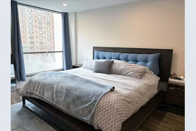 227 E Walton Place #9W, Chicago, IL 60611 - Photo 9