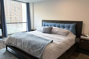 227 E Walton Pl, Chicago, IL 60611 - Photo 9