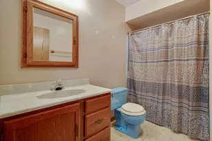 707 S Olbrich Rd, Harvard, IL 60033 - Photo 13
